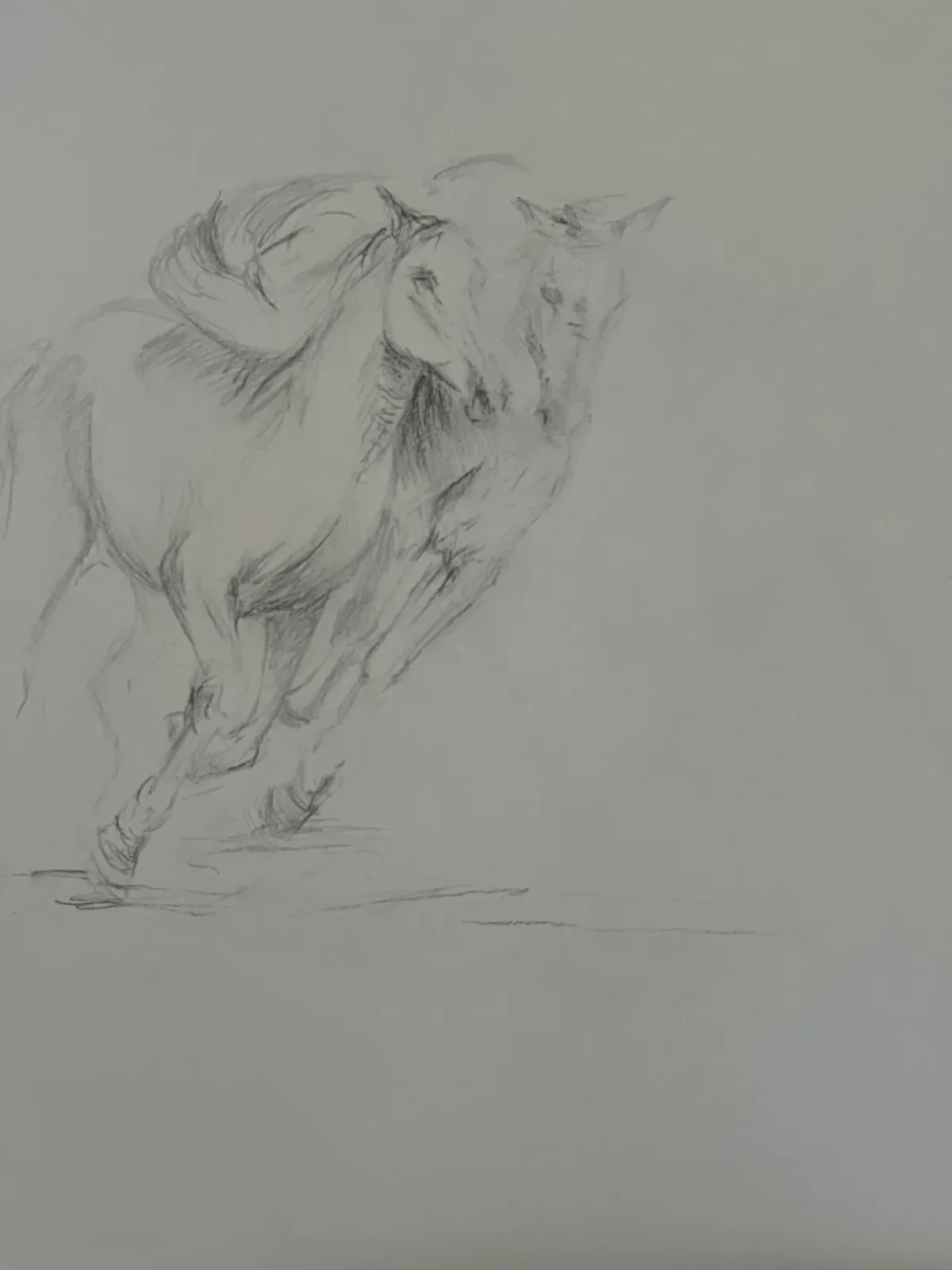 Cascade a cheval, crayon sur papier