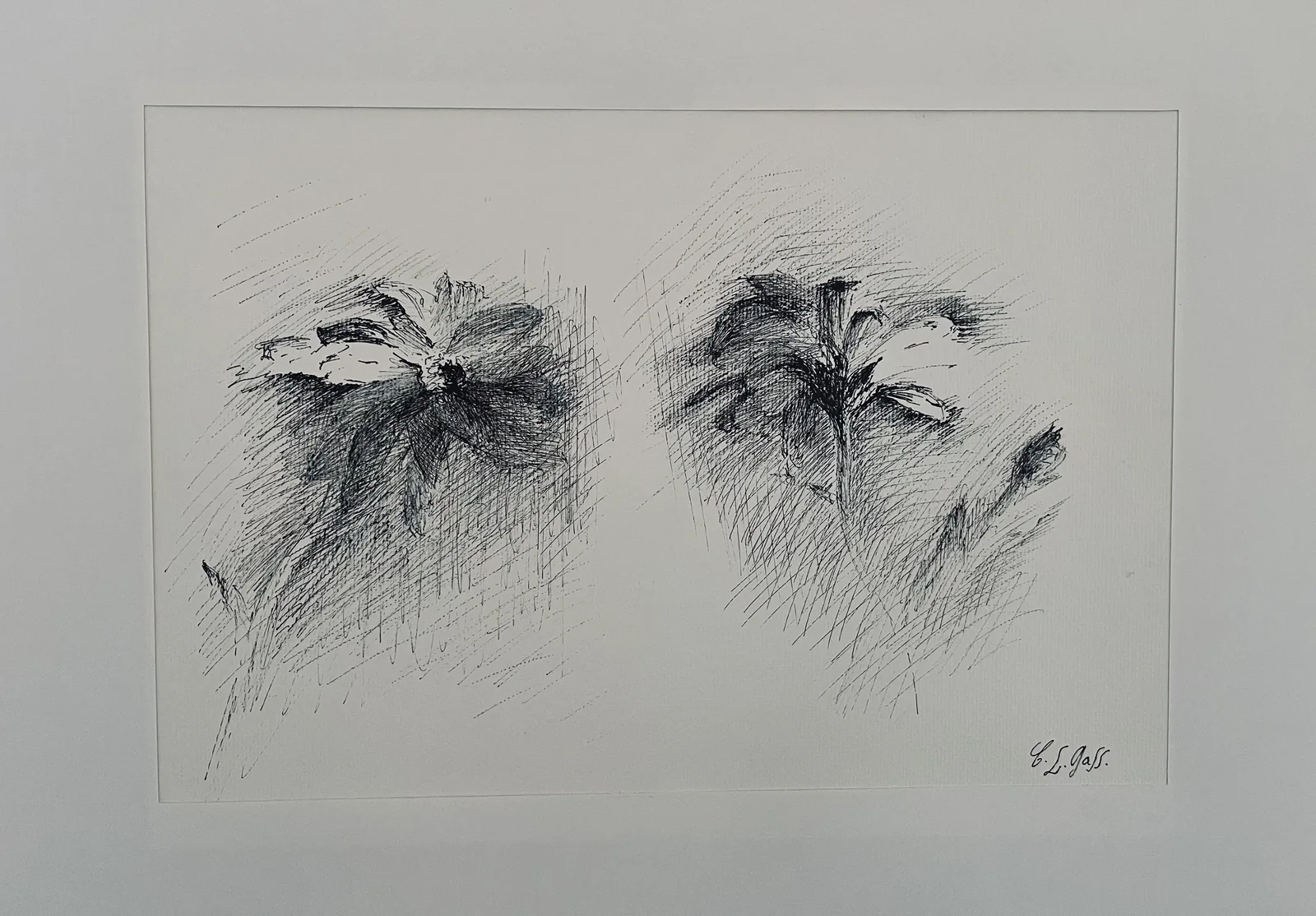 Fleurs, feutre sur papier