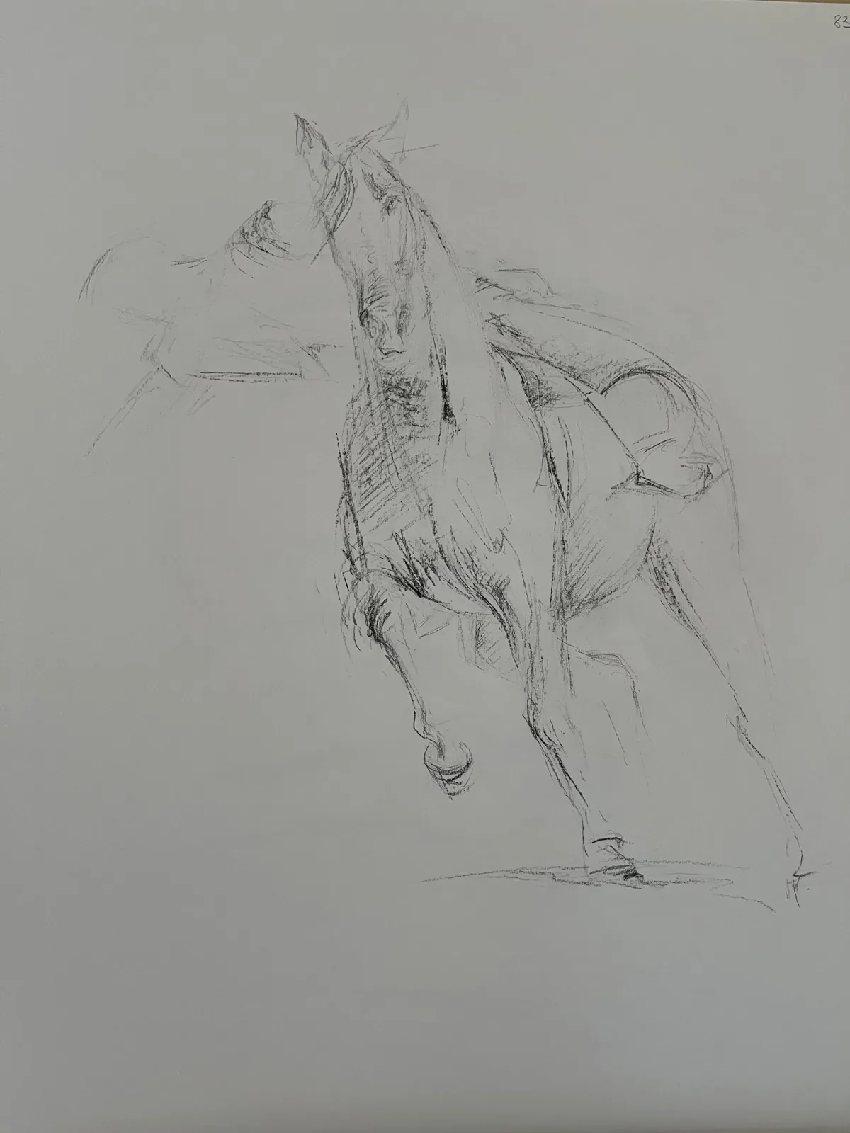 Le picador, carre Conte sur papier