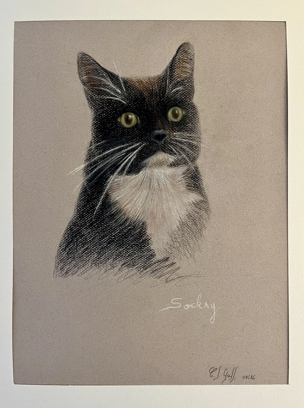 Socksy le chat, carré Conté et pastel sur papier